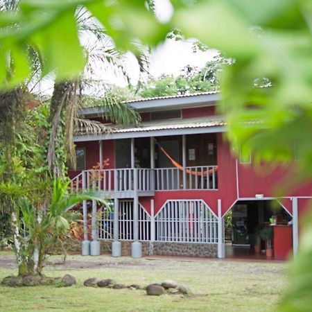 Islas Del Rio Hostel Tirimbina ภายนอก รูปภาพ