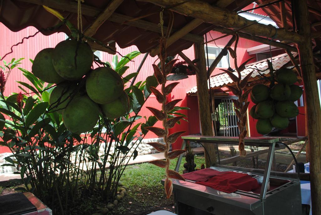Islas Del Rio Hostel Tirimbina ภายนอก รูปภาพ