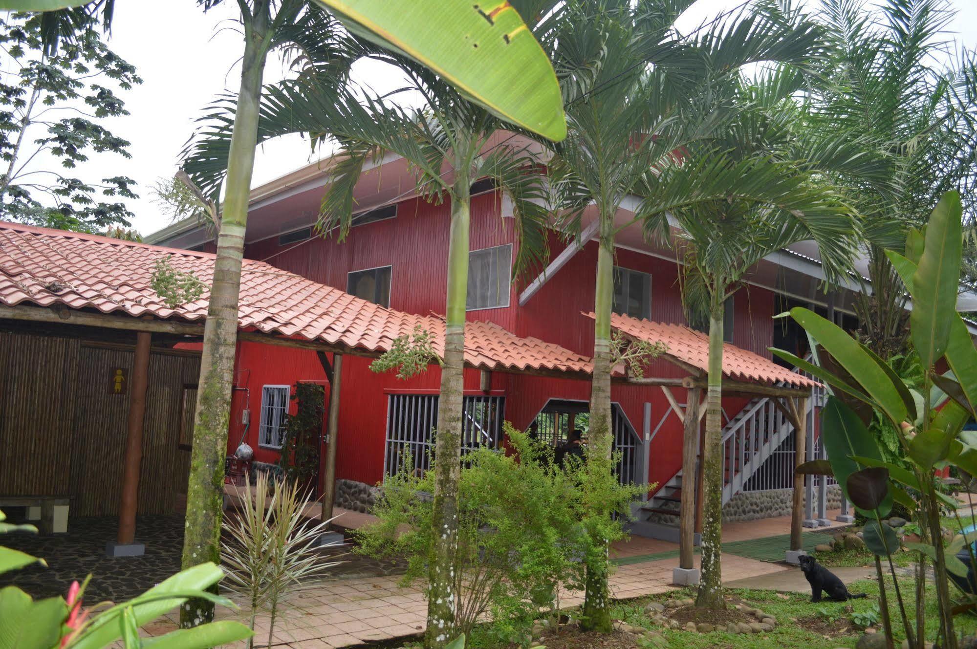 Islas Del Rio Hostel Tirimbina ภายนอก รูปภาพ