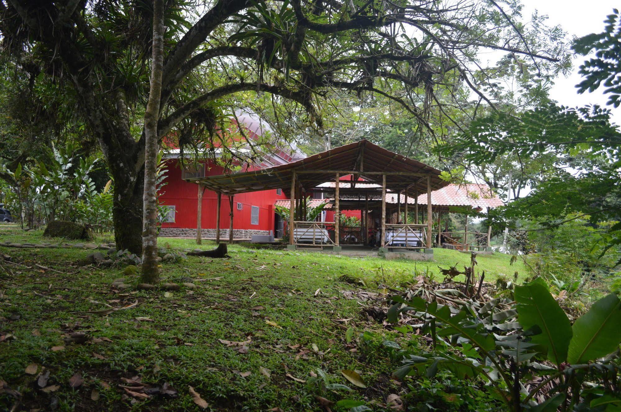 Islas Del Rio Hostel Tirimbina ภายนอก รูปภาพ
