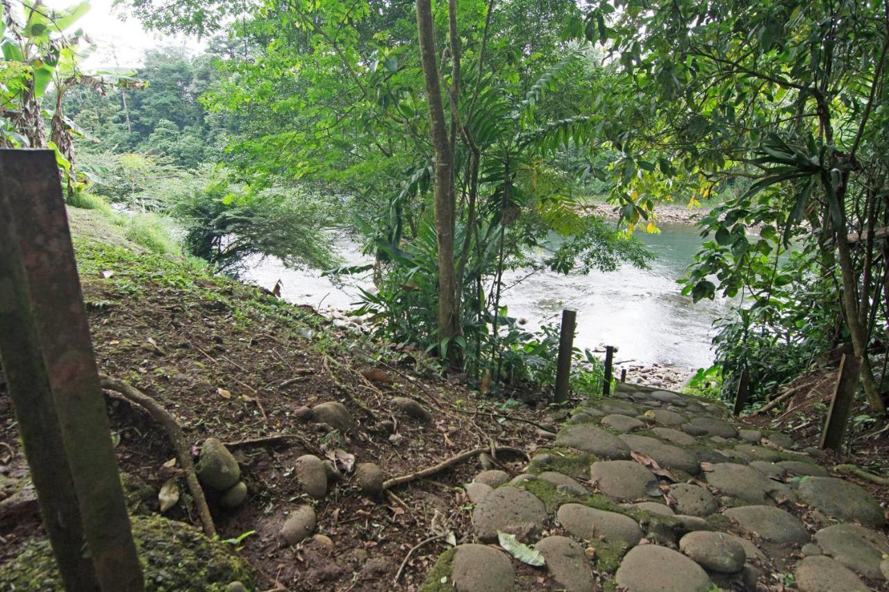 Islas Del Rio Hostel Tirimbina ภายนอก รูปภาพ