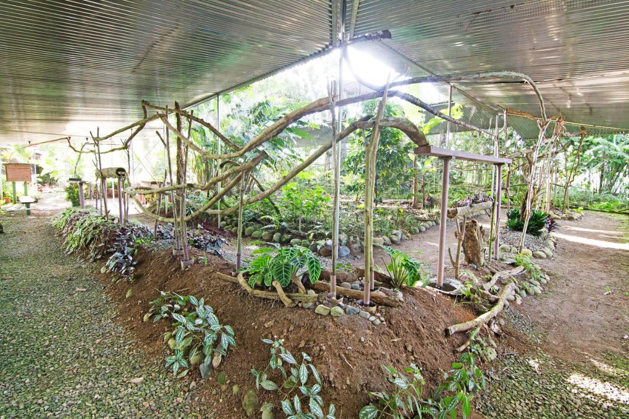 Islas Del Rio Hostel Tirimbina ภายนอก รูปภาพ