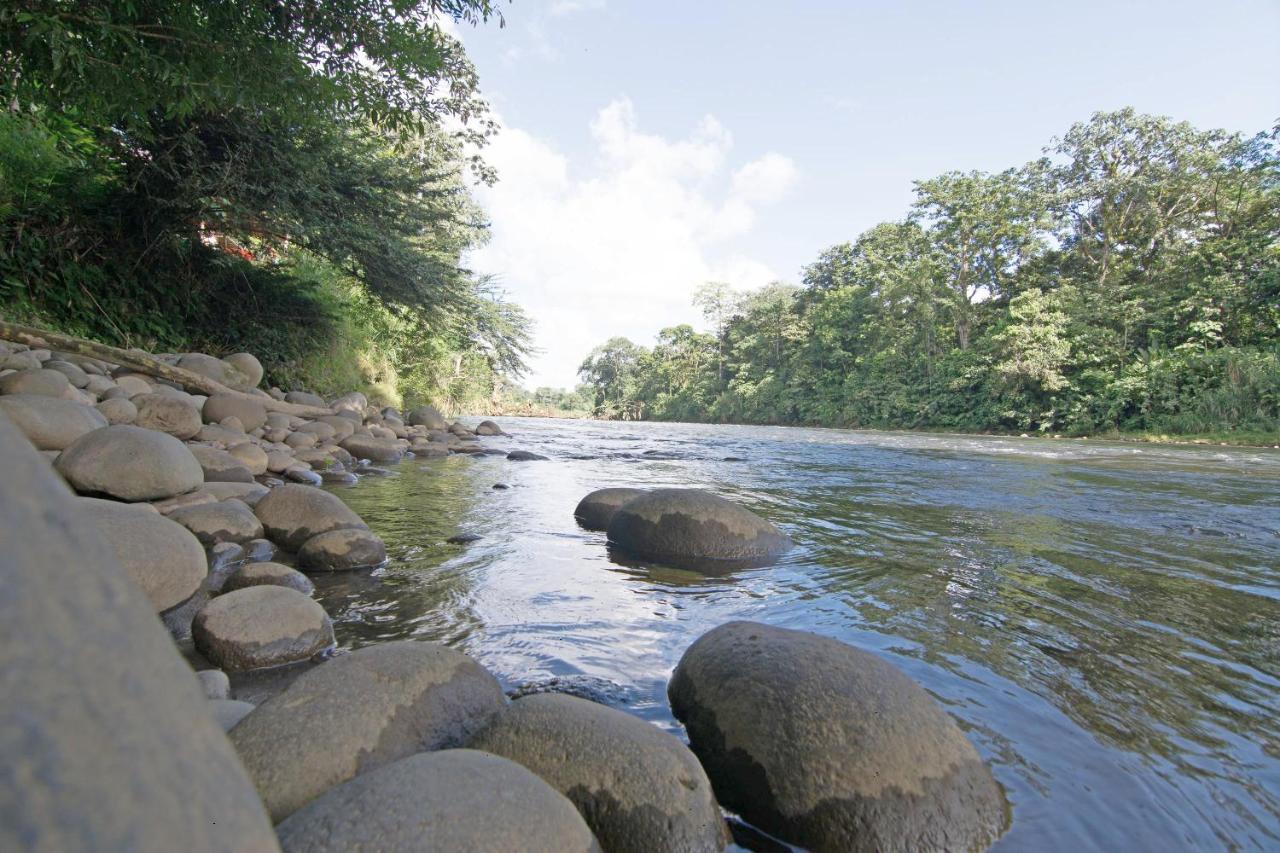 Islas Del Rio Hostel Tirimbina ภายนอก รูปภาพ